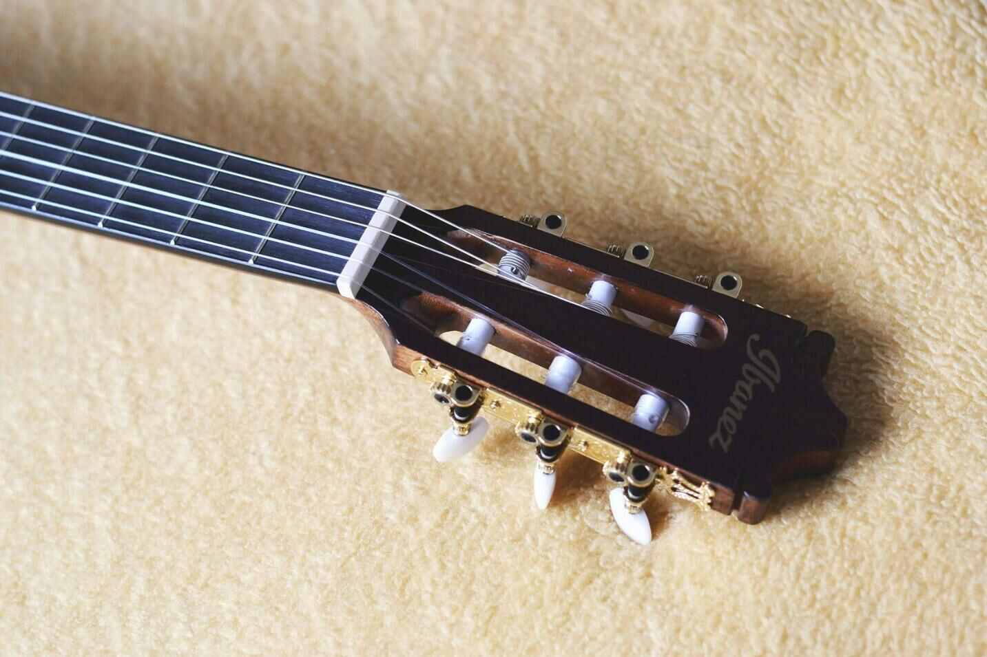 Какую гитару купить советы новичку