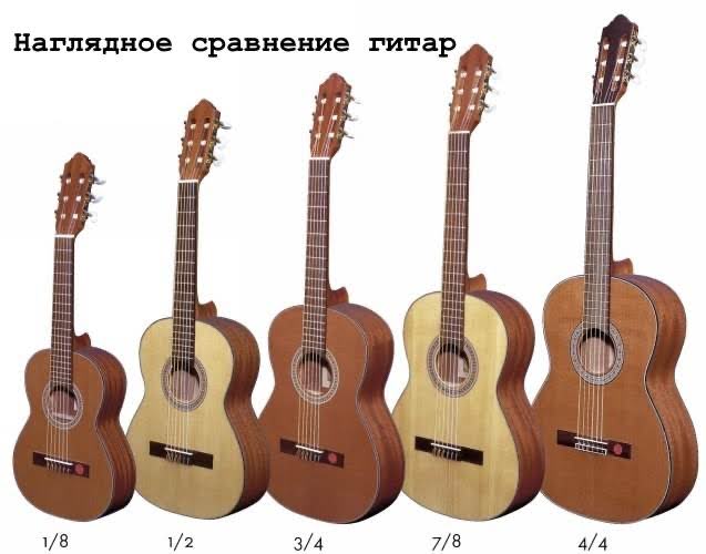 сравнение гитар по размерам